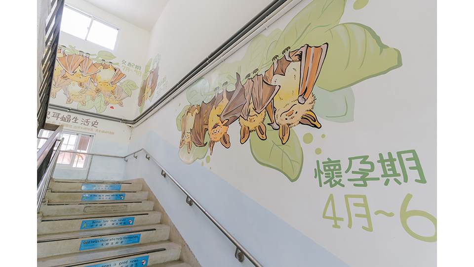 誠正國小的樓梯間透過清新可愛的彩繪，介紹著蝙蝠的作息週期。